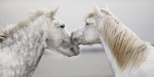 Jorge Llovet The First Kiss