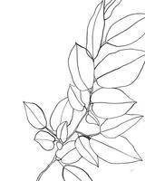 Karyn Panganiban Magnolia Branch Ii