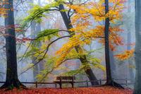Lars Van De Goor Take A Seat An Enjoy