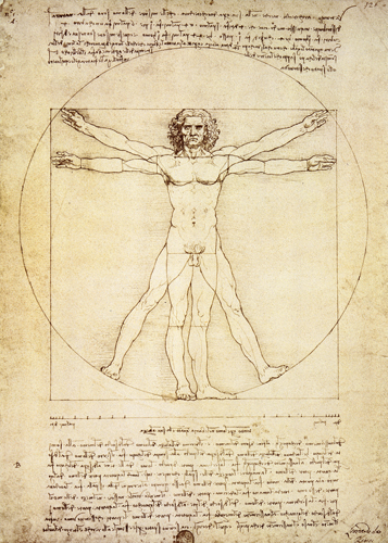 Leonardo Da Vinci Vitruvian Man