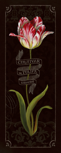 Lisa Audit Tulip Botanica Iii