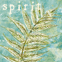 Lisa Petty Spring Renewal Iv