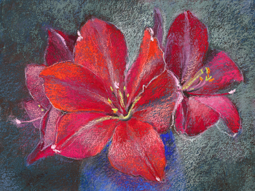 Loes Botman Amaryllis