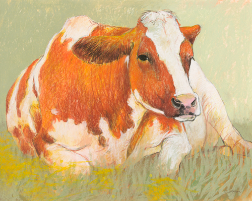 Loes Botman Cow In The Spring