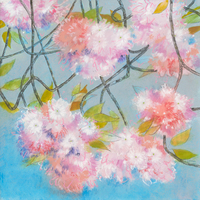Loes Botman Japanese Cherry Blossom