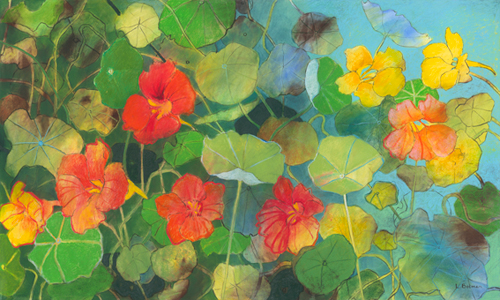 Loes Botman Nasturtium 2