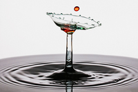 Manuel Sanchez Cocktail