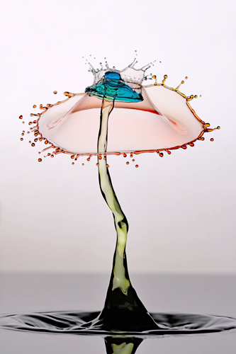 Manuel Sanchez Umbrella Crown