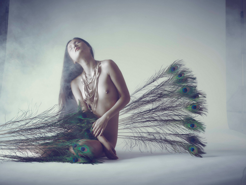 Marco Milillo Feathers