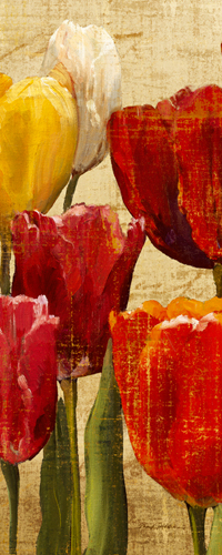 Marilyn Hageman Tulip Fantasy On Cream Iii