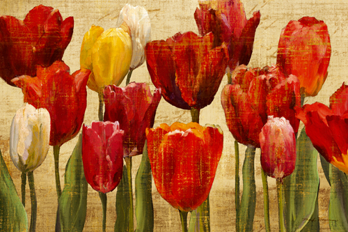 Marilyn Hageman Tulip Fantasy On Cream