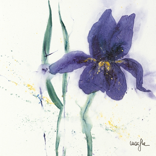 Marthe Iris Ii