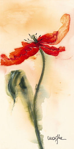 Marthe Tulipe Ii