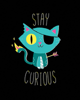 Michael Buxton Stay Curious