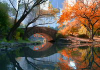 Michael Chen Gapstow Bridge Fall