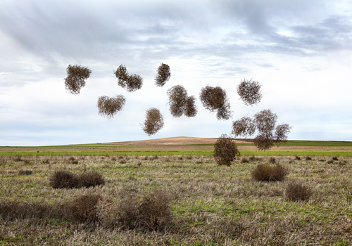 Miguel Vallinas Prieto Pause Numero Ii