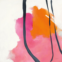 Mike Schick Somersault Ii