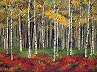 Miro Kenarov Aspen Forest