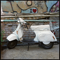 Misterblad White Cyclope