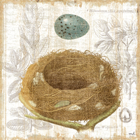 Moira Hershey Botanical Nest Iii