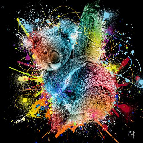 Moki Koala Color