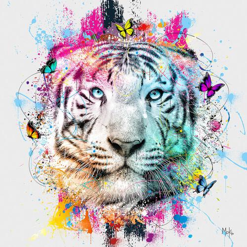 Moki Tigre Color