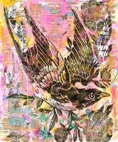 Nick Twaalfhoven Birds Of Love I