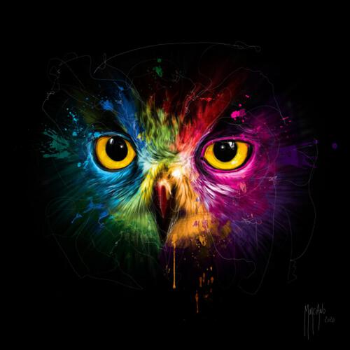 Patrice Murciano Pop Owl