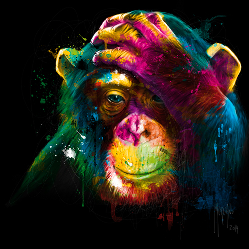 Patrice Murciano The Darwin S Preoccupations