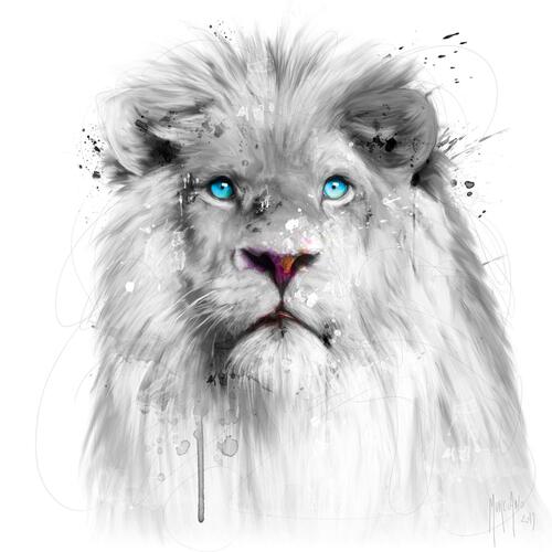 Patrice Murciano White Lion