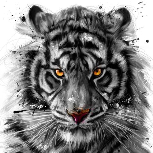 Patrice Murciano White Tiger