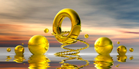 Peter Hillert Golden Chainringbowls
