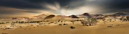 Peter Hillert Namib Sandsea Ii