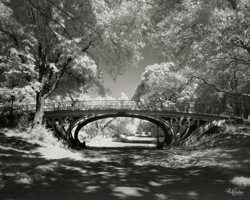 Ralf Uicker Central Park Bridge