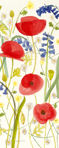 Rebecca Bradley Meadow Poppies Iii