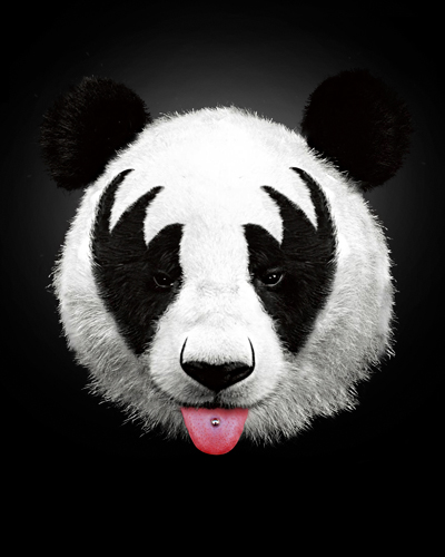 Robert Farkas Panda Rocks