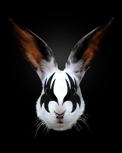 Robert Farkas Rabbit Rocks