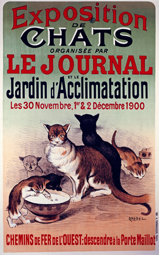 Roedel Exposition De Chats