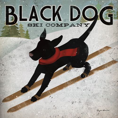 Ryan Fowler Black Dog Ski 44284