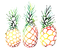 Sam Nagel Retro Pineapples