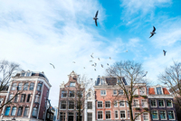 Sandrine Mulas Amsterdam Reflection