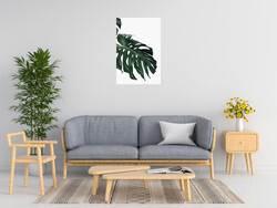 Sisi Seb Monstera I