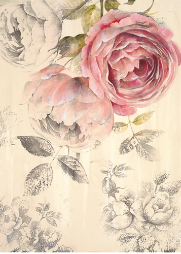 Stefania Ferri Ethereal Roses 1
