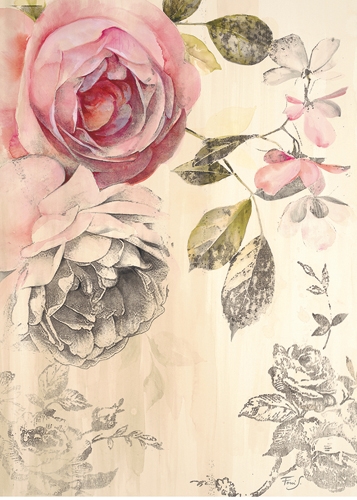 Stefania Ferri Ethereal Roses 2