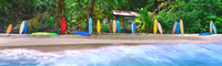 Steve Vaughn Surf Heaven