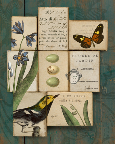 Sue Schlabach Birds And Butterflies I