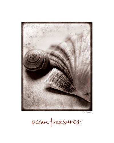 Sue Schlabach Ocean Treasures