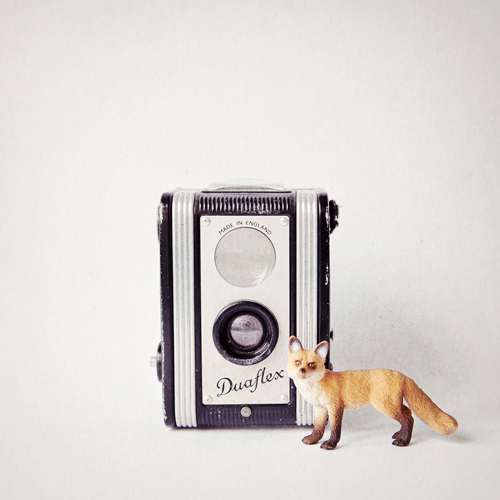 Susannah Tucker Photography Fox Vintage Camera