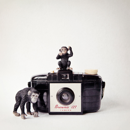 Susannah Tucker Photography Monkey Vintage Camera