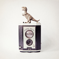 Susannah Tucker Photography T Rex Vintage Camera